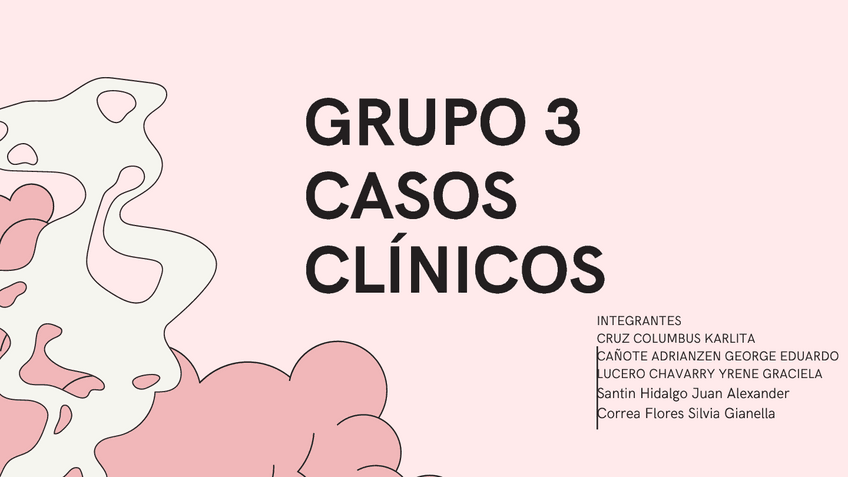 Miniatura del documento Rosa-Perfilada-Ilustracion-Comunicacion-Formacion-Presentacion-de-Video.pdf