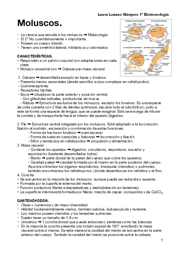 Miniatura del documento tema-7-.pdf