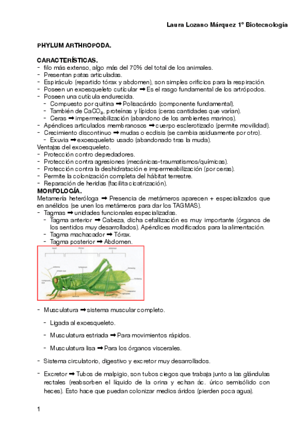 Miniatura del documento Tema-8.pdf