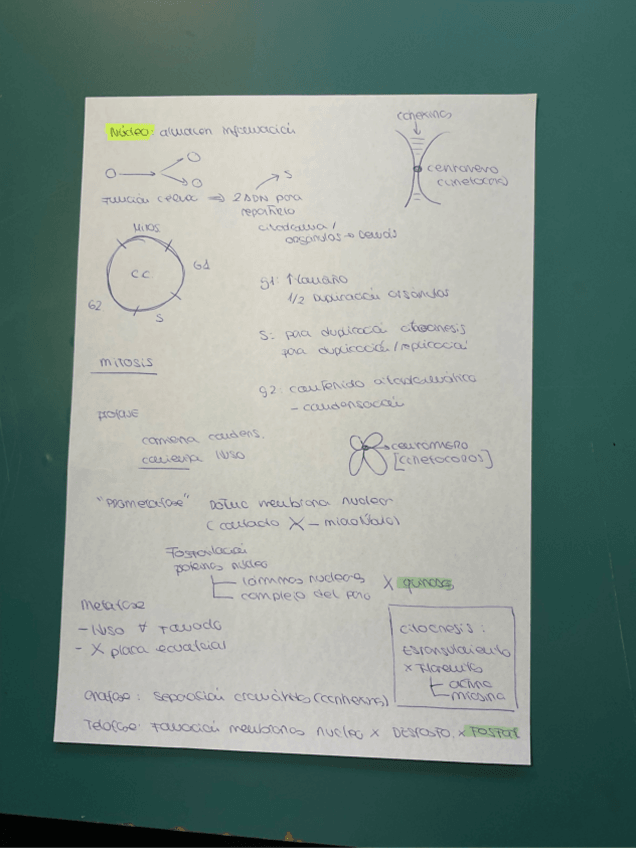 Miniatura del documento Biologia-tema-3-.pdf