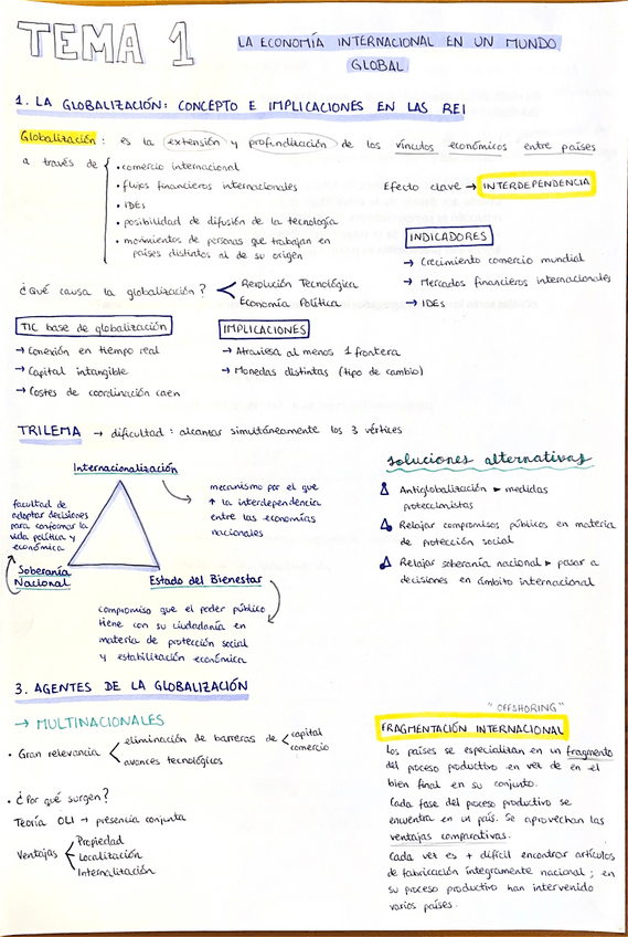 Miniatura del documento Rei.pdf