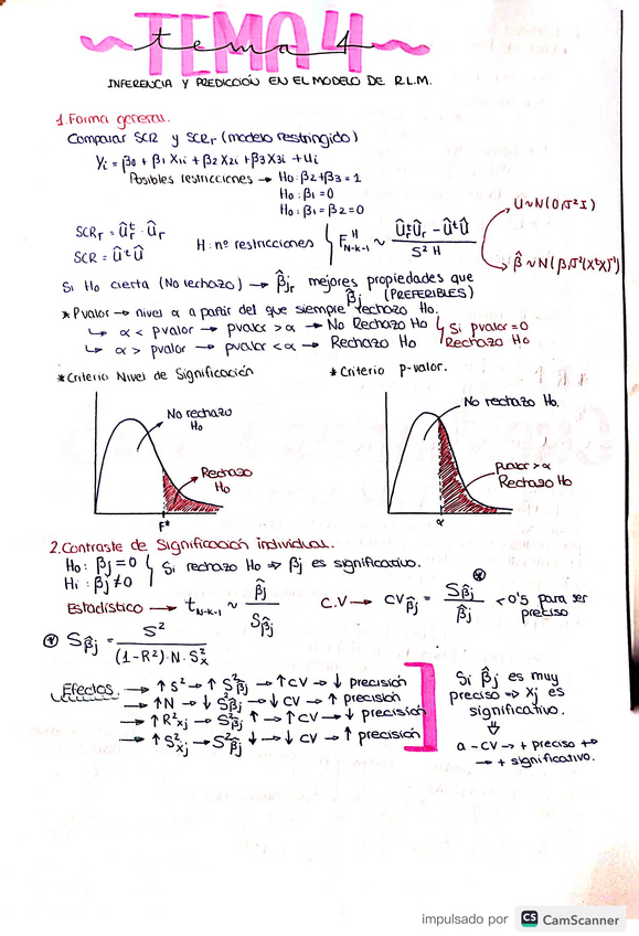 Miniatura del documento tema-4-econometria-I.pdf