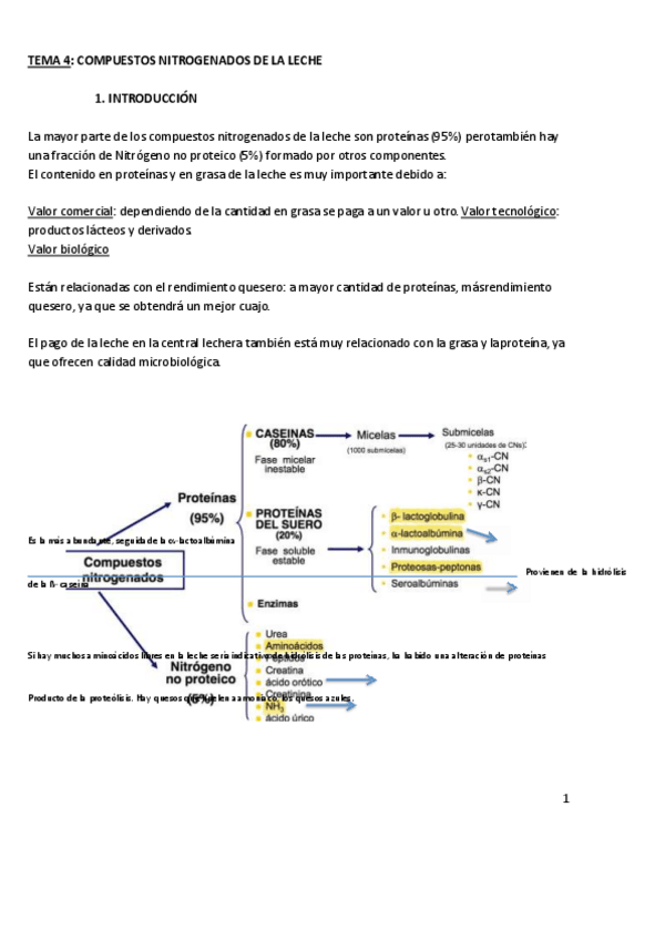 Miniatura del documento TEMA-4COMPUESTOS-NITROGENADOS-DE-LA-LECHE.pdf