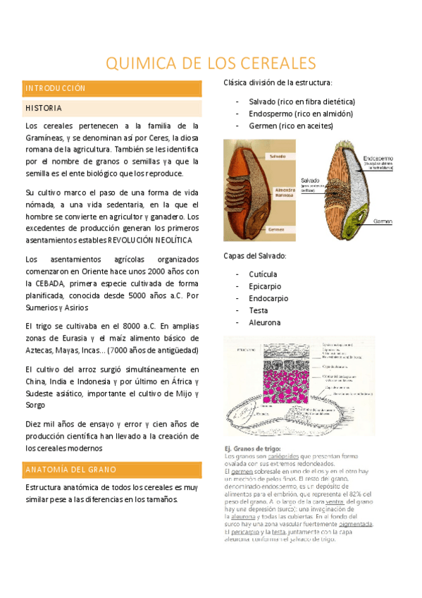 Miniatura del documento t2-quimica-de-los-cereales.pdf
