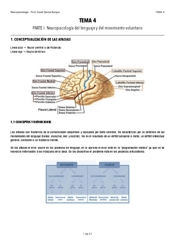 Miniatura del documento TEMA-4-pt1-neuro david garcia burgos.pdf