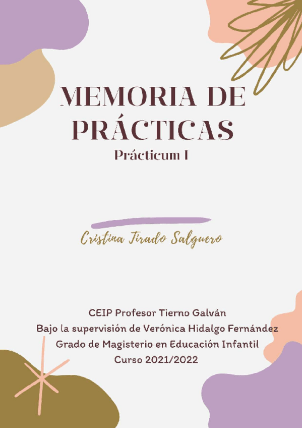 Miniatura del documento MEMORIA PRACTICUM I.pdf