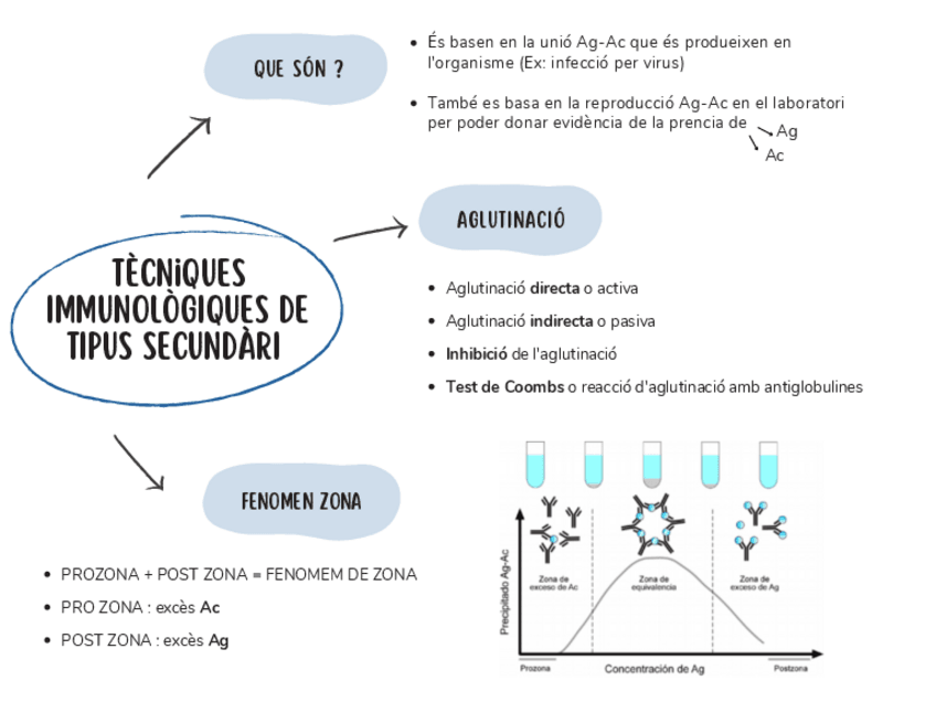 Miniatura del documento Tecniques-immunologiques-de-tipus-secundari-.pdf