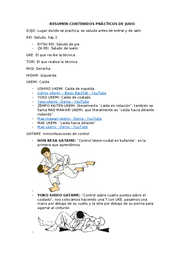Miniatura del documento Resumen-Judo.docx