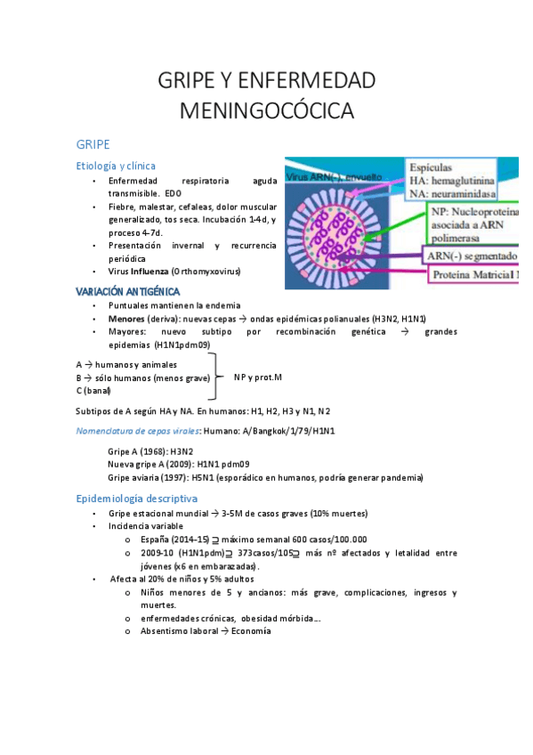 Miniatura del documento T3.pdf