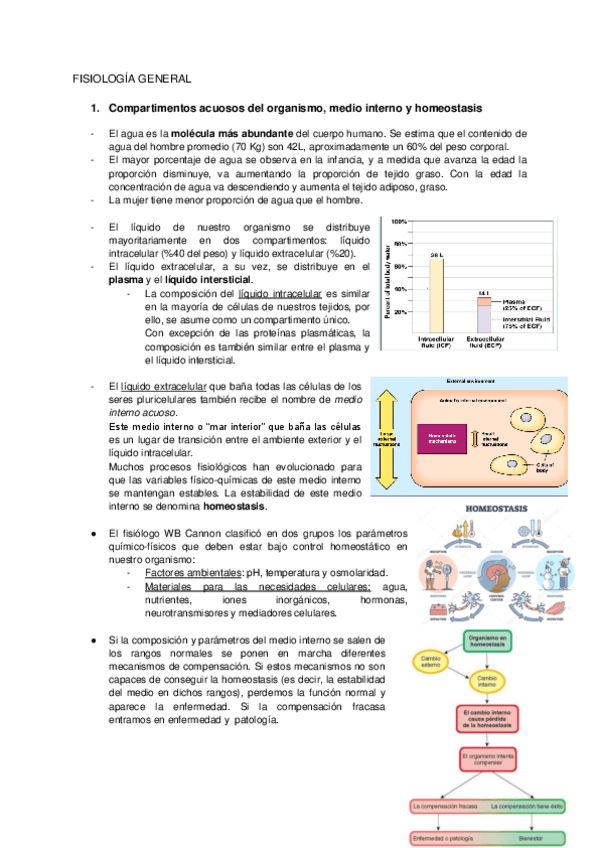 Miniatura del documento 1.pdf