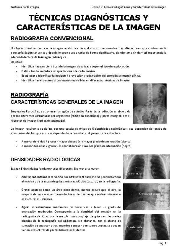 Miniatura del documento Rx.pdf
