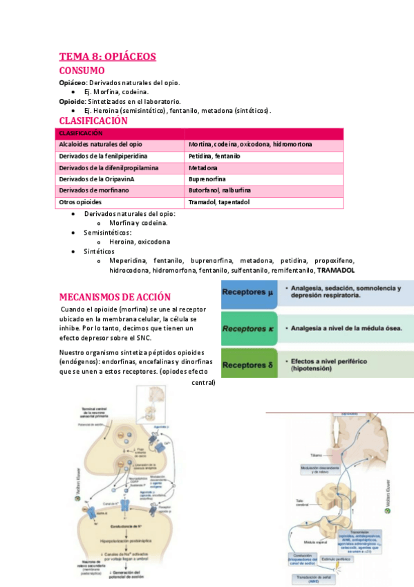 Miniatura del documento OPIACEOS.pdf