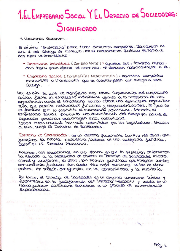 Miniatura del documento tema-1-sociedades.pdf