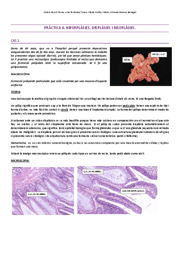 Miniatura del documento PRACTICA-6-AP.pdf