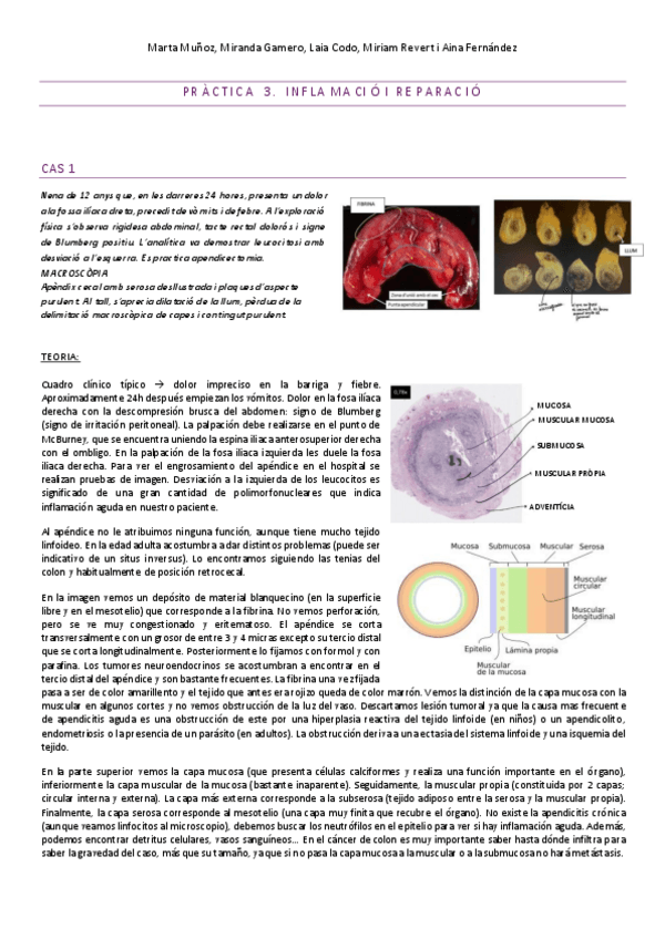 Miniatura del documento PRACTICA-3.pdf