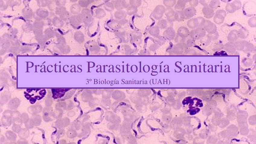 Miniatura del documento Practicas-Parasitologia-Sanitaria.pdf