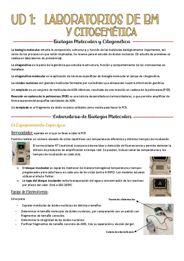 Miniatura del documento tema-1-BMC.pdf