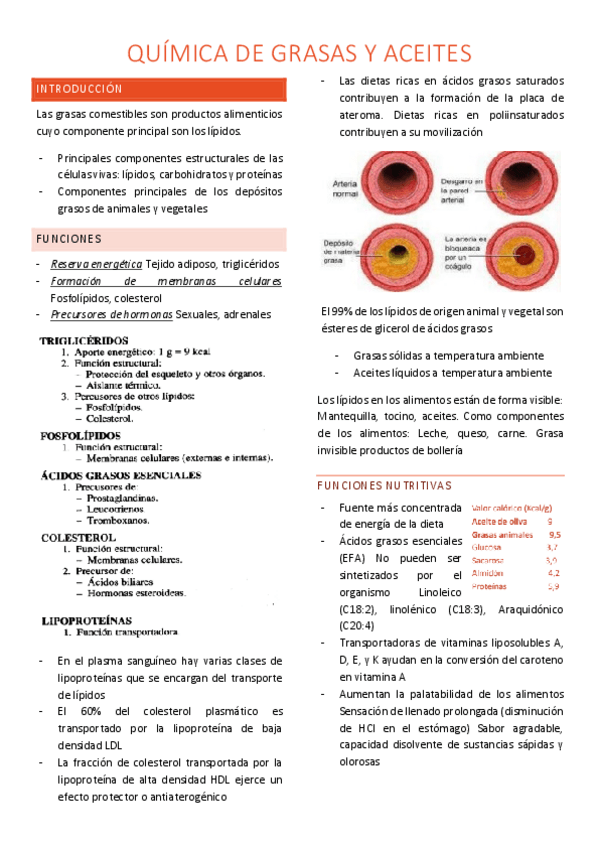 Miniatura del documento t3-quimica-de-grasas-y-aceites.pdf