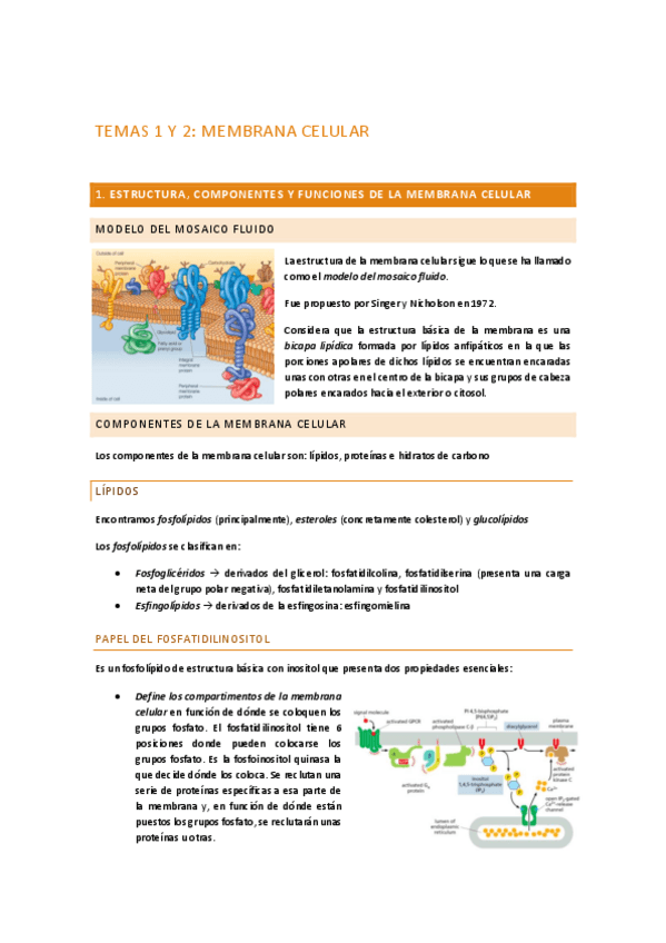 Miniatura del documento Clase-1-y-2.pdf