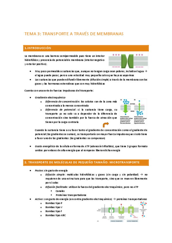 Miniatura del documento Clase-3.pdf