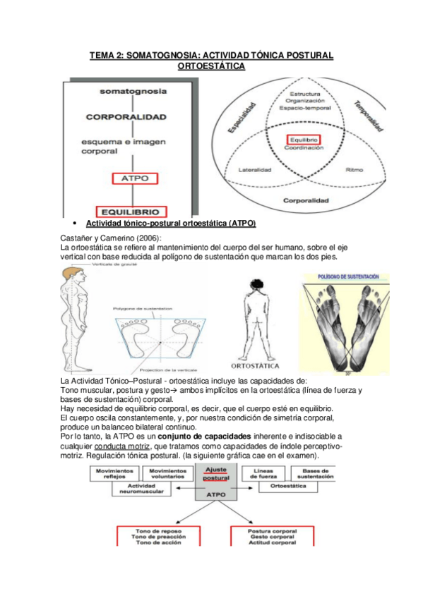 Miniatura del documento Tema-2-parte-3-Fundamentos-de-las-Habilidades-Motrices.pdf
