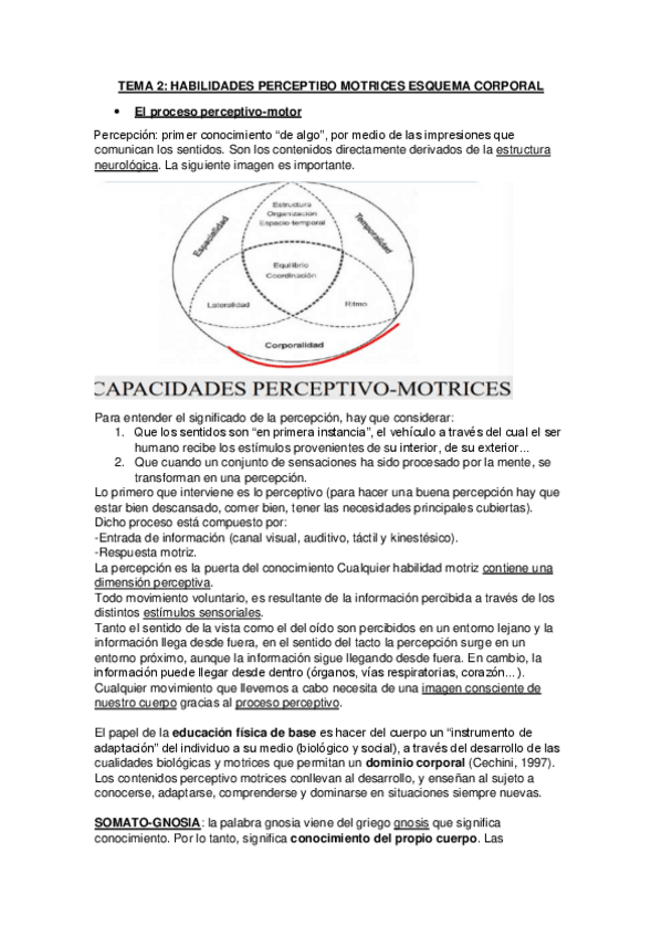 Miniatura del documento Tema-2-parte-1-Fundamentos-de-las-Habilidades-Motrices.pdf