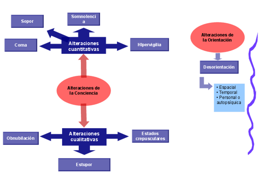 Miniatura del documento Esquemas-Psicopatologia.pdf