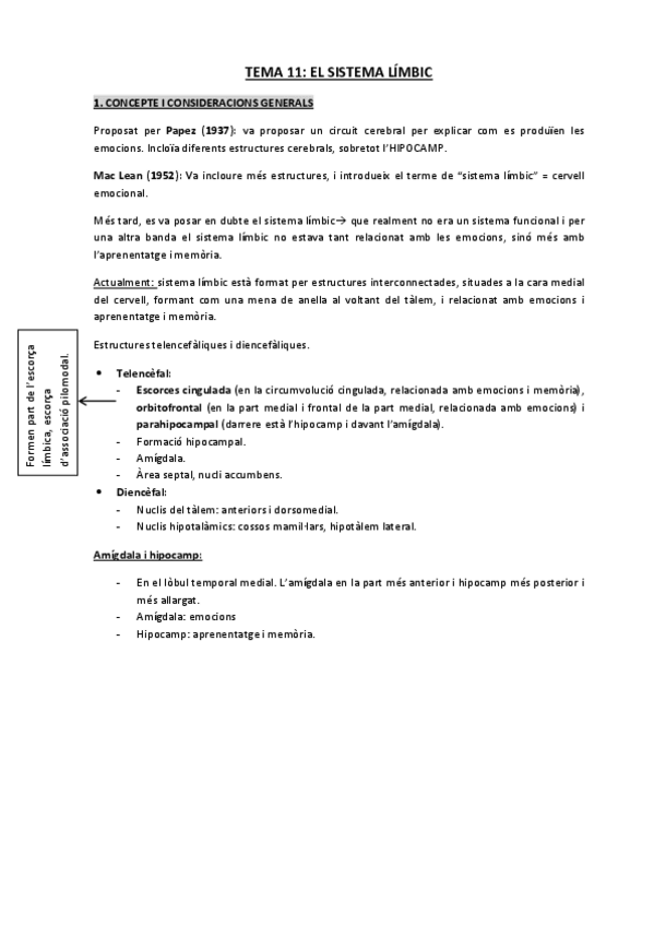 Miniatura del documento Tema 11 Sistema límbic.pdf