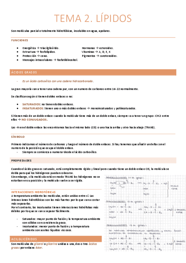 Miniatura del documento Lípidos