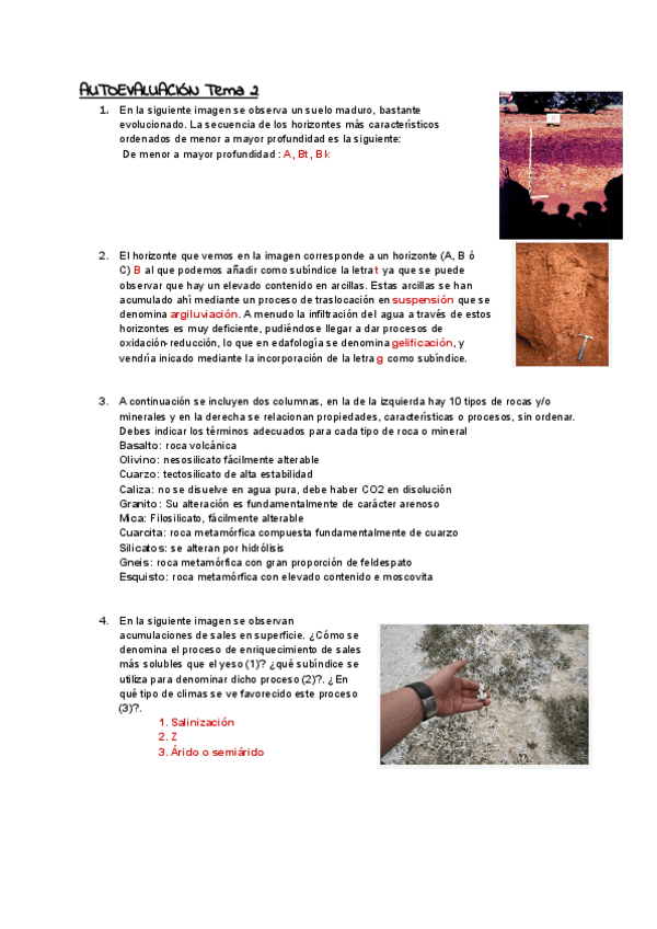 Miniatura del documento AUTOEVALUACIONES-edafo.pdf