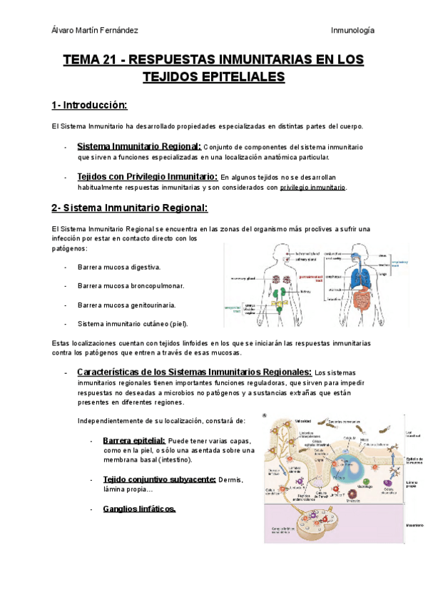 Miniatura del documento TEMA-21-RESPUESTAS-INMUNITARIAS-EN-LOS-TEJIDOS-EPITELIALES.pdf