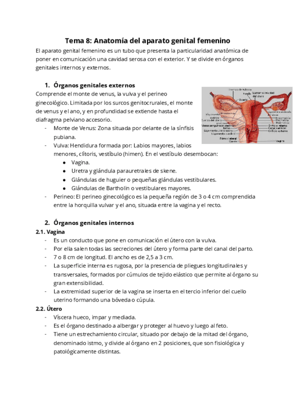 Miniatura del documento Tema-8-Anatomia-del-aparato-genital-femenino.pdf
