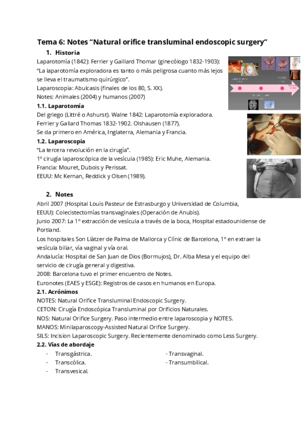 Miniatura del documento Tema-6-Notes-Natural-orifice-transluminal-endoscopic-surgery.pdf