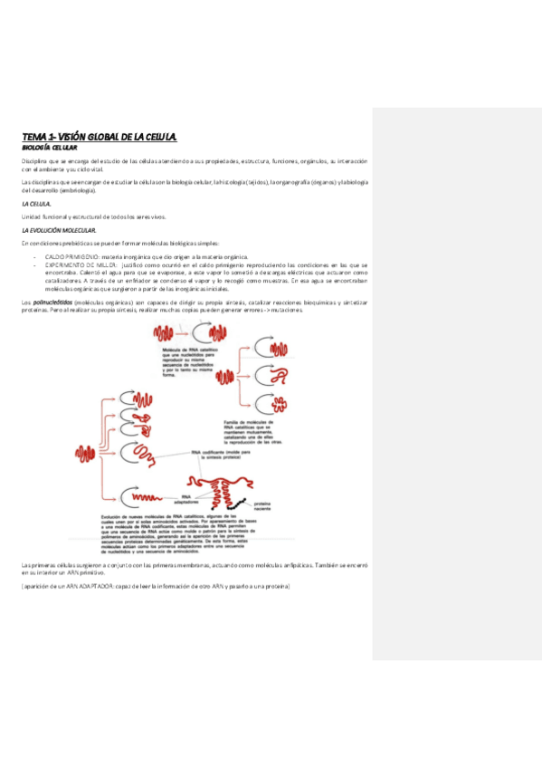 Miniatura del documento TEMARIO-BIOLOGIA-CELULAR-22-23-TEMA-1-2-3.pdf
