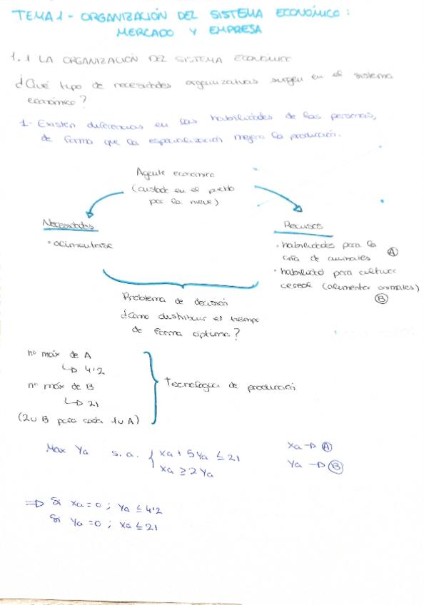 Miniatura del documento TEMA-1-OGI.pdf