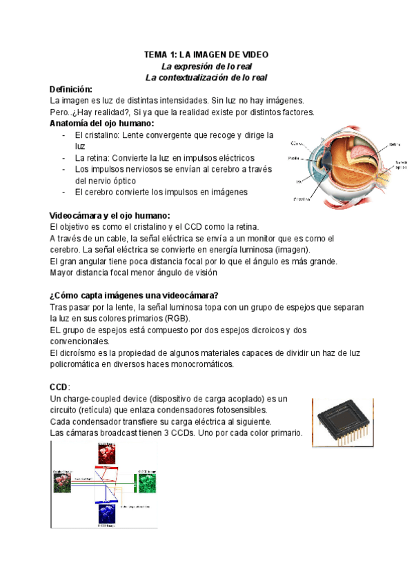 Miniatura del documento TEMA-1-LA-IMAGEN-DE-VIDEO.pdf