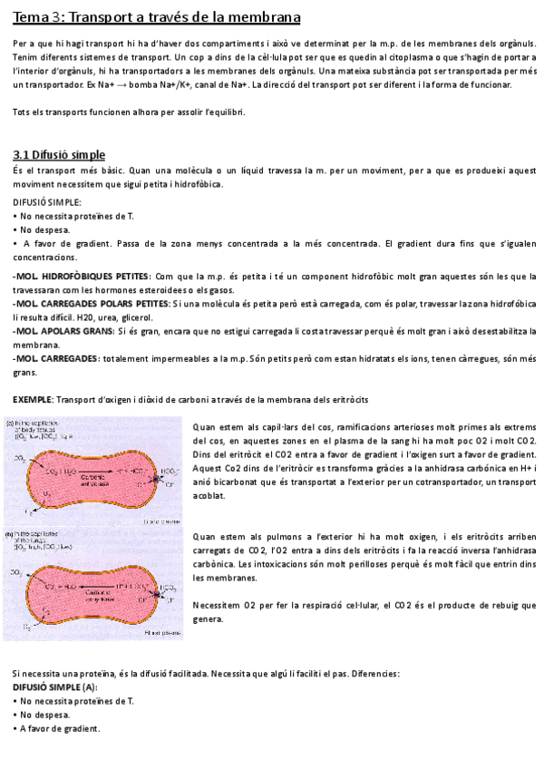 Miniatura del documento Tema-3-1.pdf