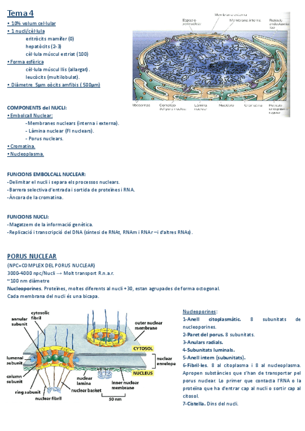 Miniatura del documento Tema-4-1.pdf