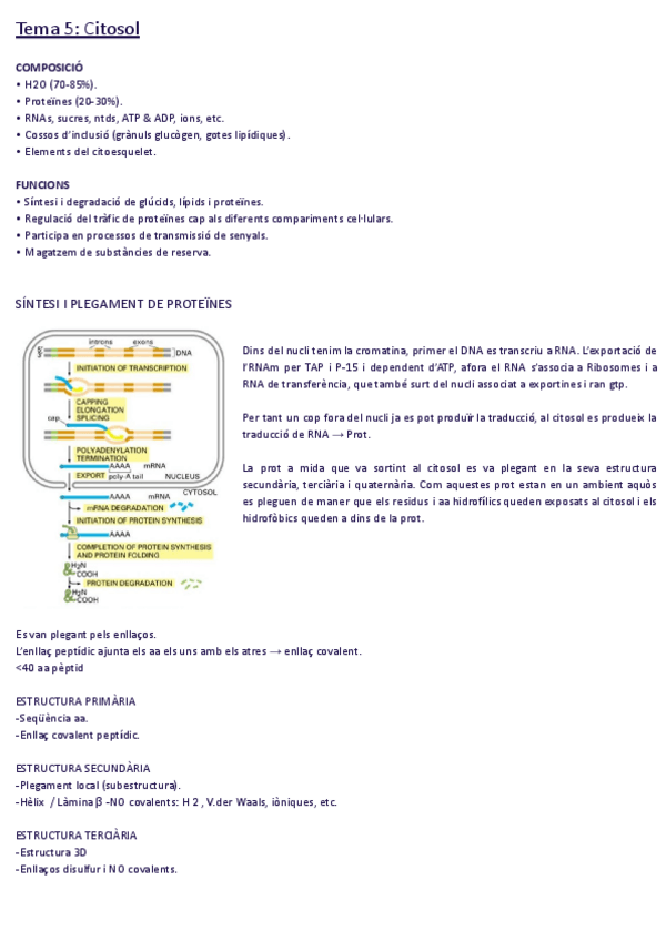 Miniatura del documento Tema-5-1.pdf