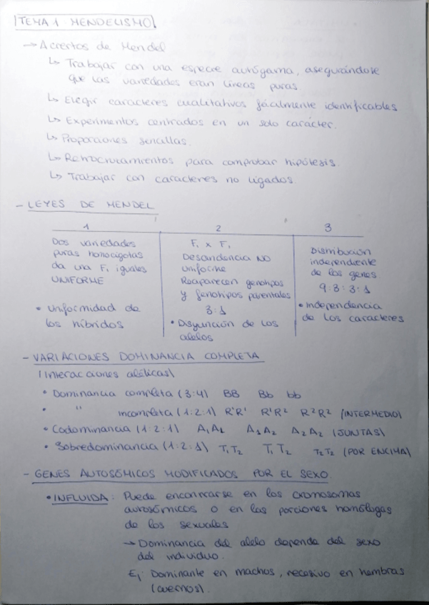 Miniatura del documento Tema-1.pdf