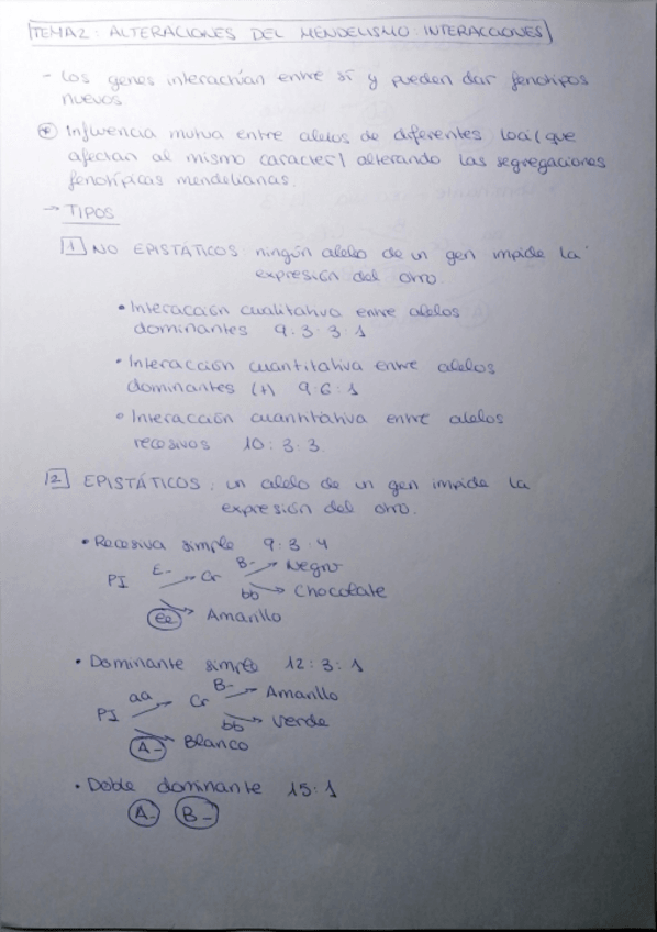 Miniatura del documento Resumen tema 2