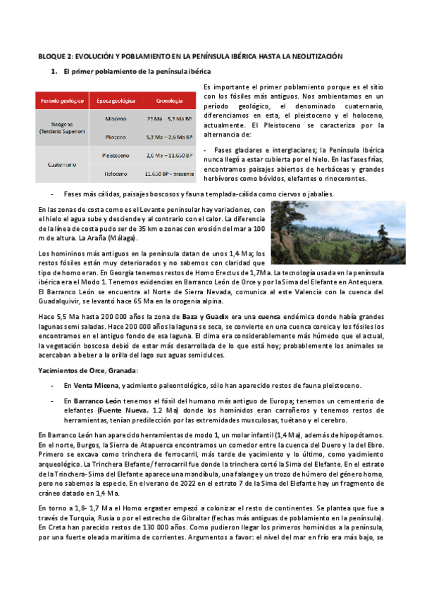Miniatura del documento BLOQUE-2.pdf