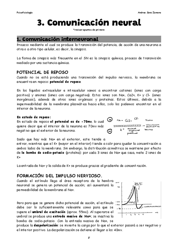 Miniatura del documento Tema-3-Comunicacion-neural-.pdf