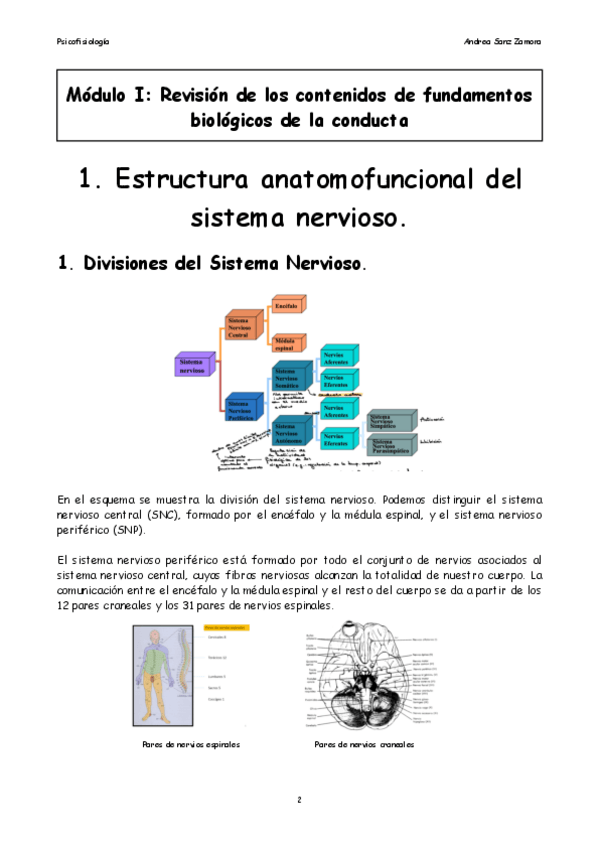 Miniatura del documento Tema-1-Estructura-anatomofuncional-del-sistema-nervioso-.pdf