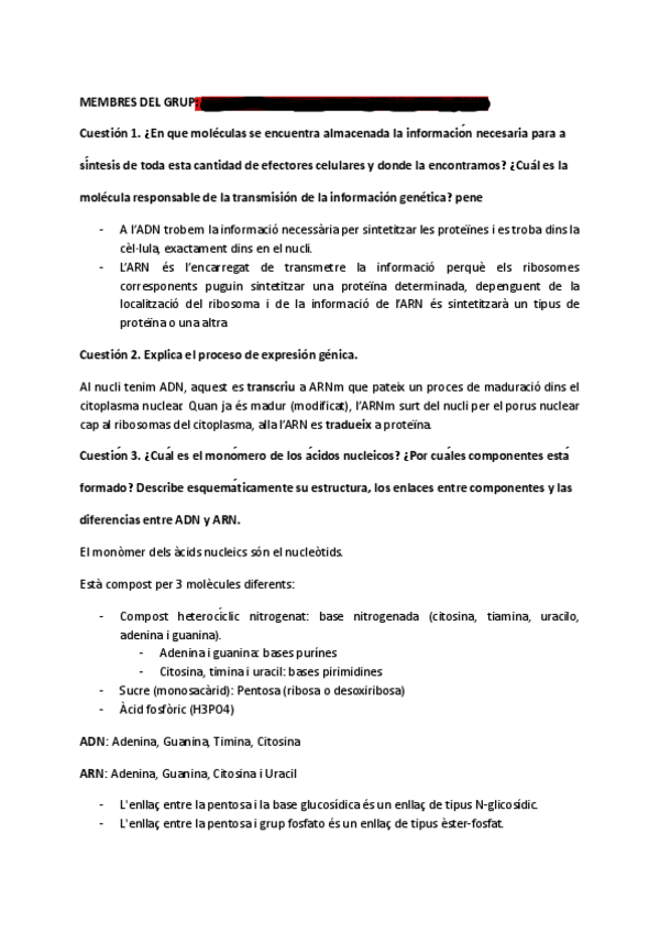 Miniatura del documento ACIDS-NUCLEICS-ACTIVITAT.pdf