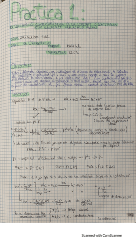 Miniatura del documento LEILAMEIP1QUIFI.pdf