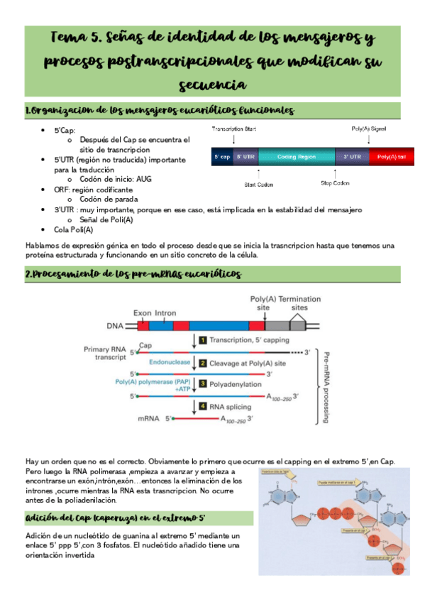 Miniatura del documento Tema-5.pdf