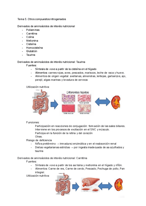 Miniatura del documento Tema-5.pdf