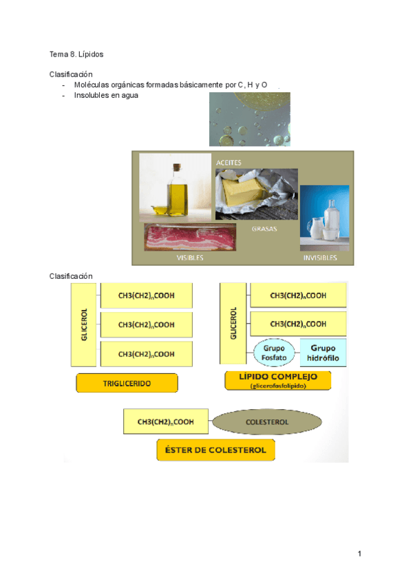 Miniatura del documento Tema-8.pdf