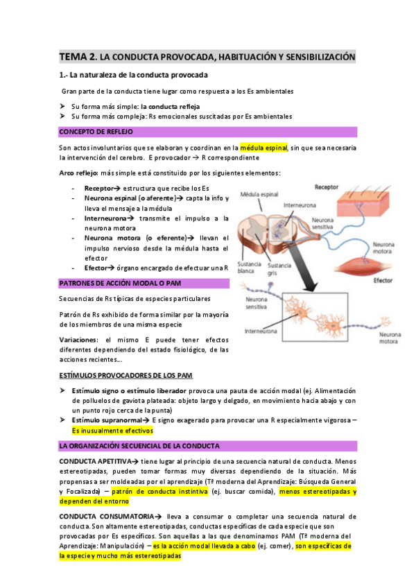 Miniatura del documento TEMA-2-conducta-provocada-etc.pdf